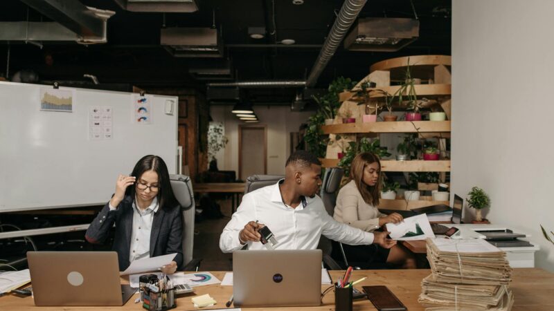 Zoho WorkDrive: Team Document Management and Folder Structure Guide