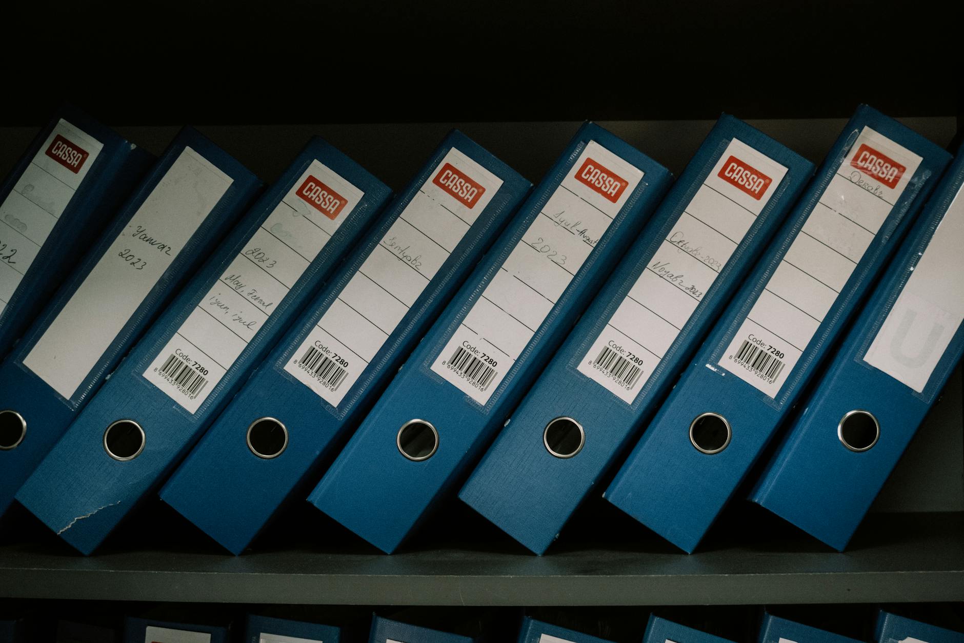 Cloud storage files for business workflows
