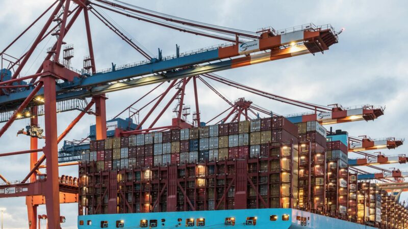 UAE E-Invoicing for Exporters in NetSuite: The 0235:9900000099 Endpoint Explained