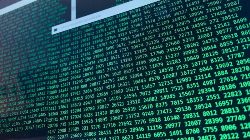 UAE E-Invoicing Transaction Type Code Explained for NetSuite Users