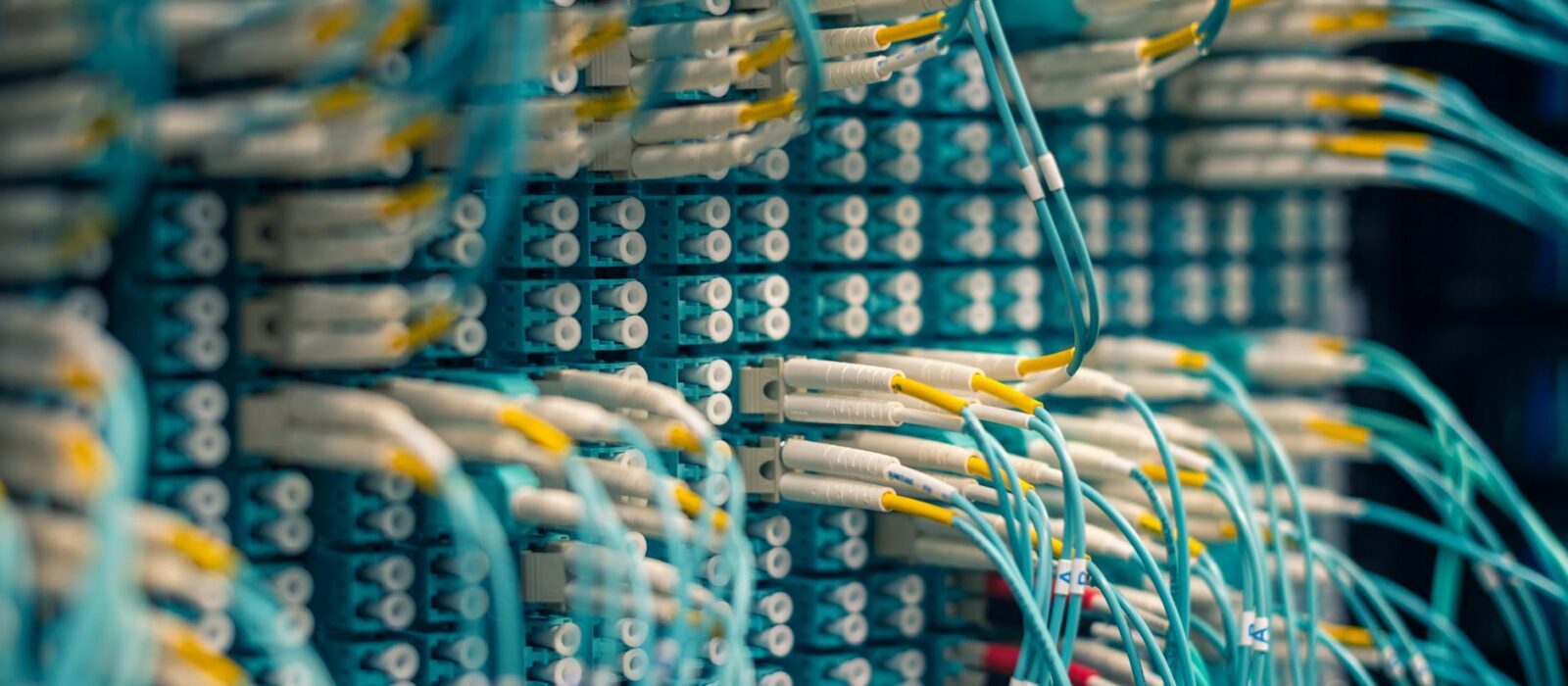 UAE Peppol Network for NetSuite Businesses: How It Works and How to Join