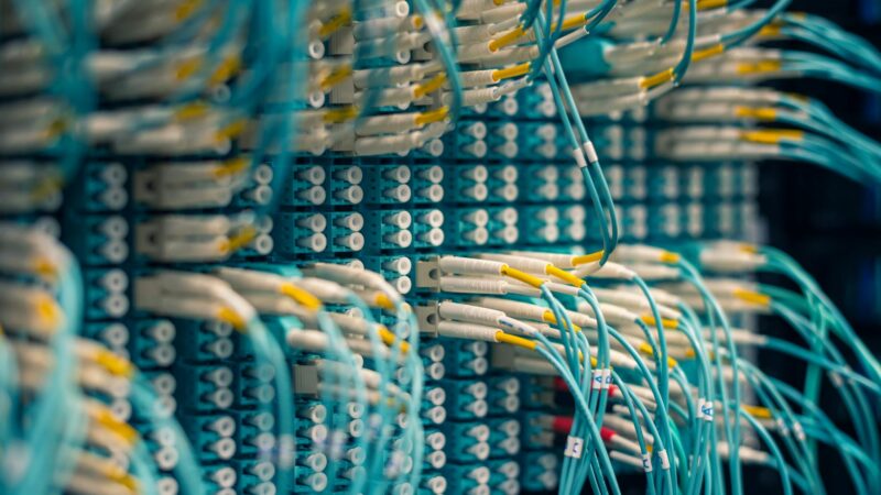 UAE Peppol Network for NetSuite Businesses: How It Works and How to Join